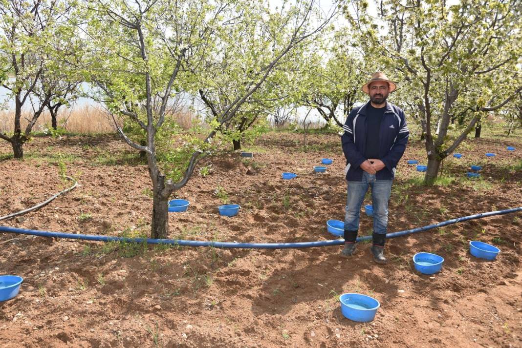 Mavi leğenleri görenler şaştı kaldı! Nedeni ortaya çıktı, 'bakla zınnı'na karşı mucize formül 7